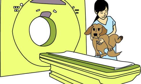 愛犬のMRI・CT検査の治療費はペット保険適用内？